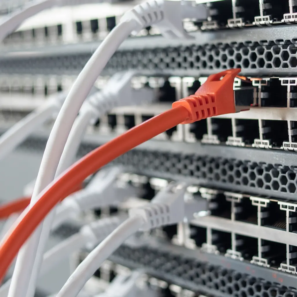 Röda och vita Ethernet-kablar anslutna till en serverswitch